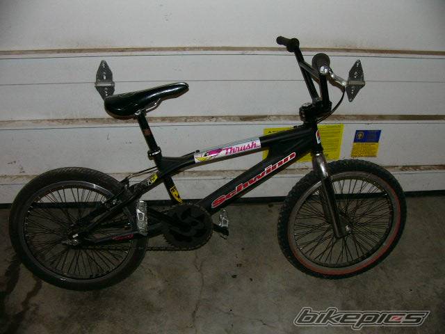 Photo 202384