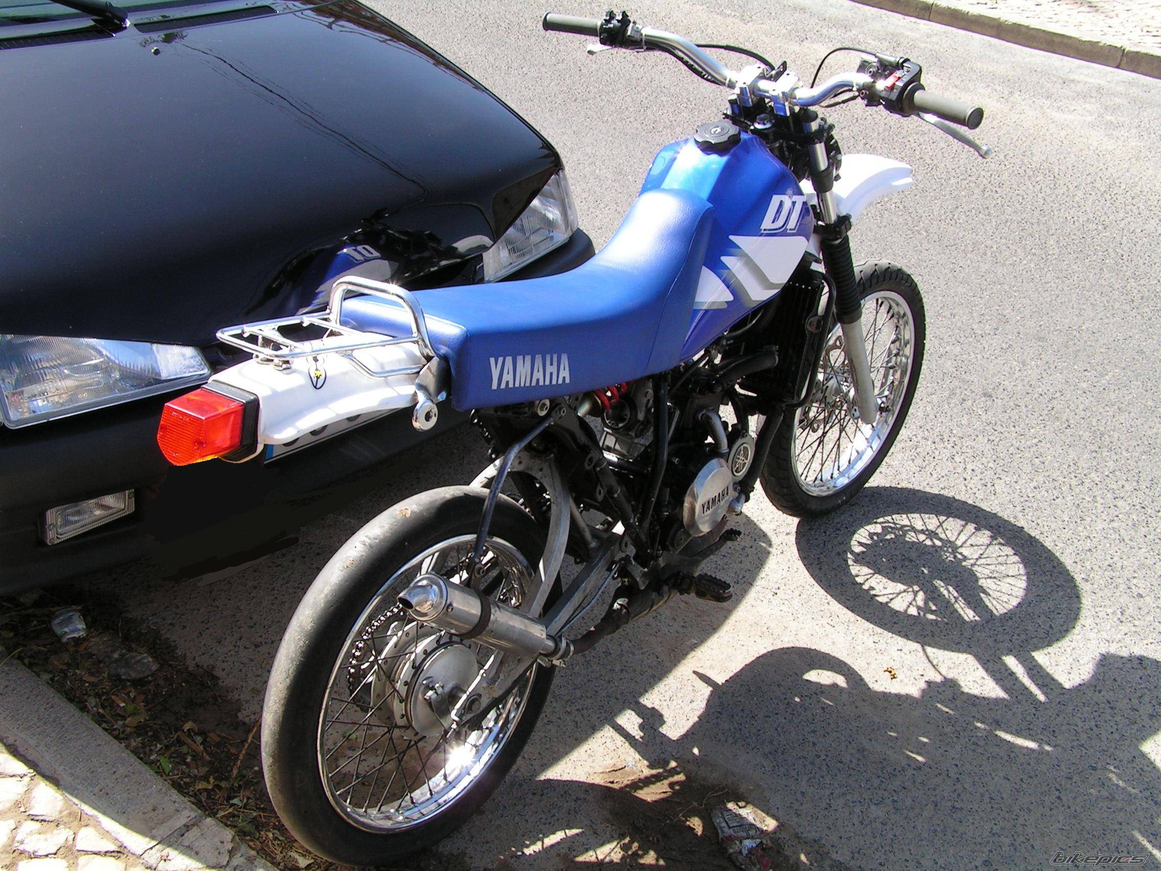 Photo 202387