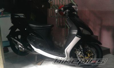 Photo 2023913