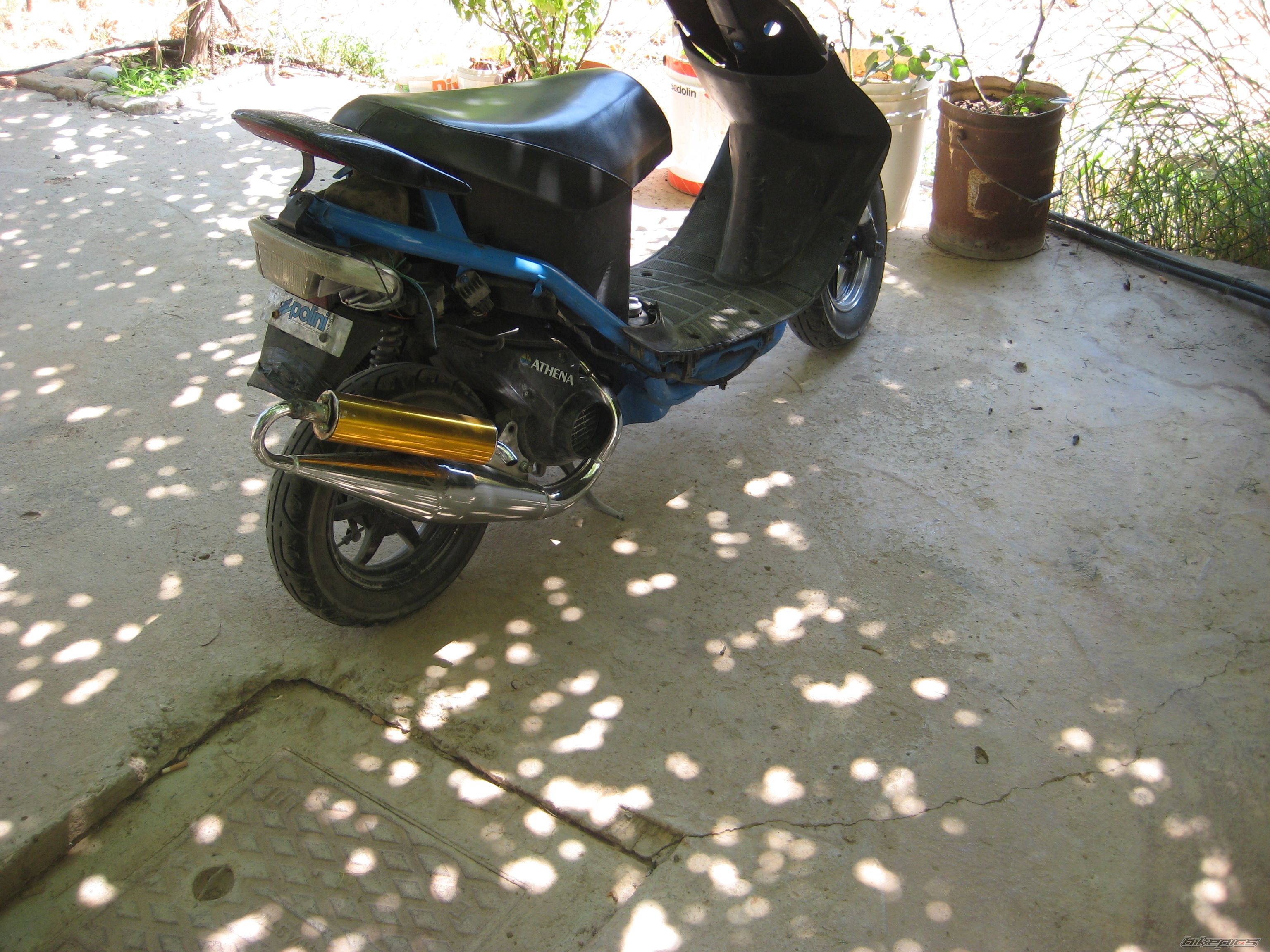 Photo 2023922