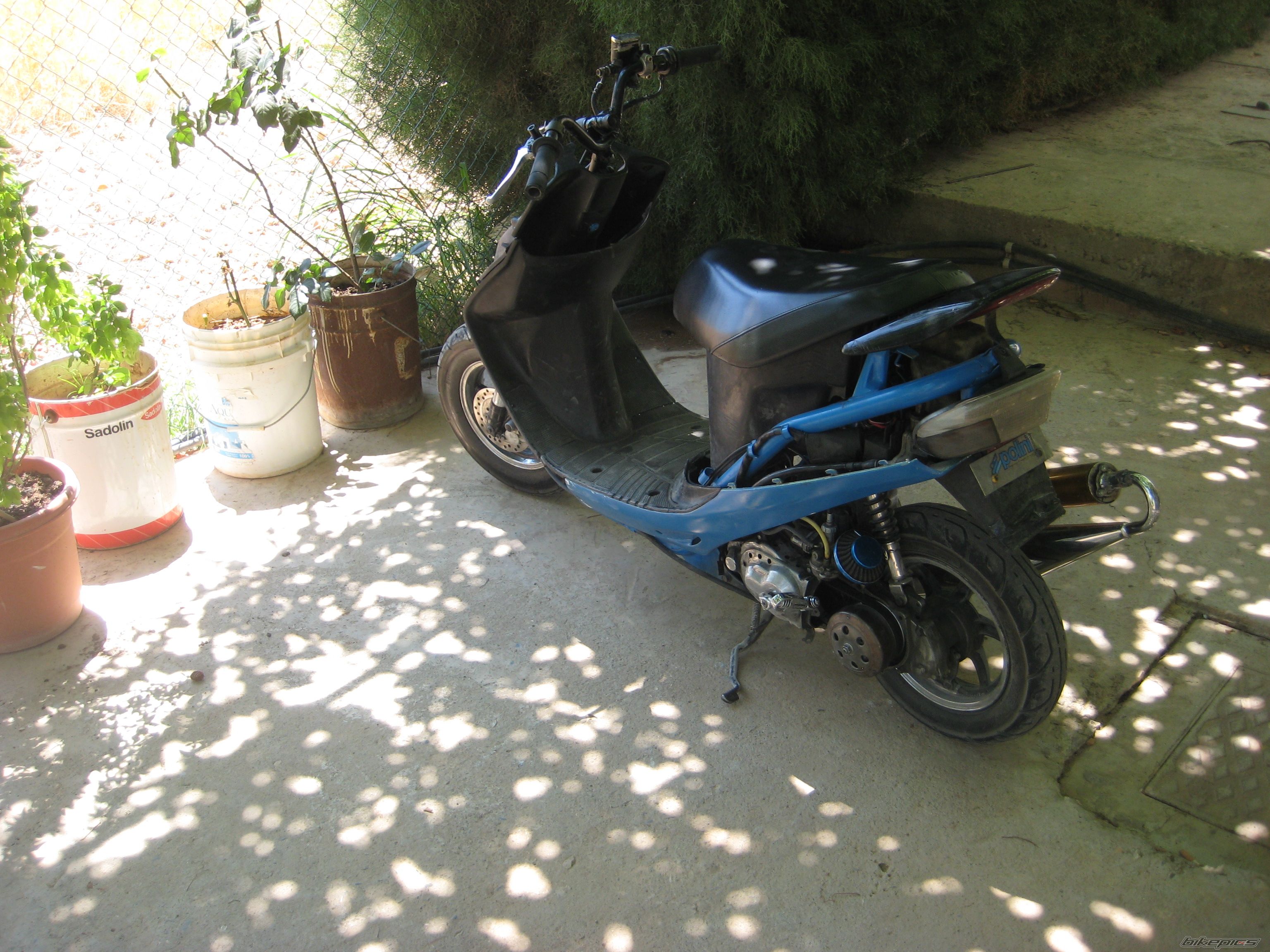 Photo 2023925
