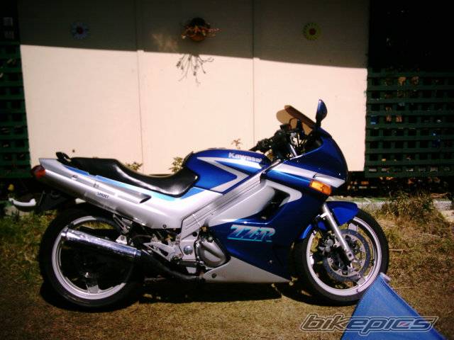 Photo 202398
