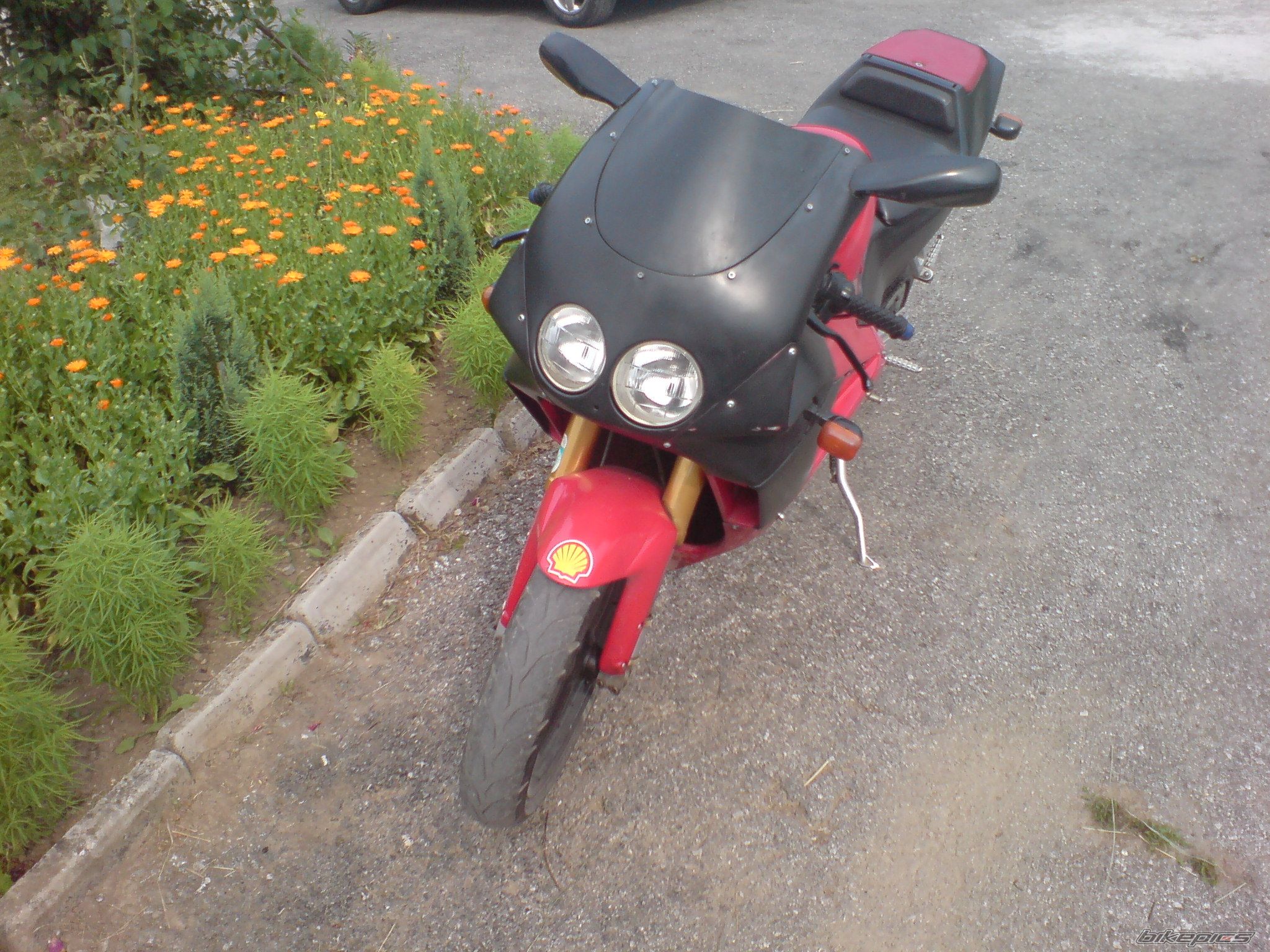 Photo 2024021
