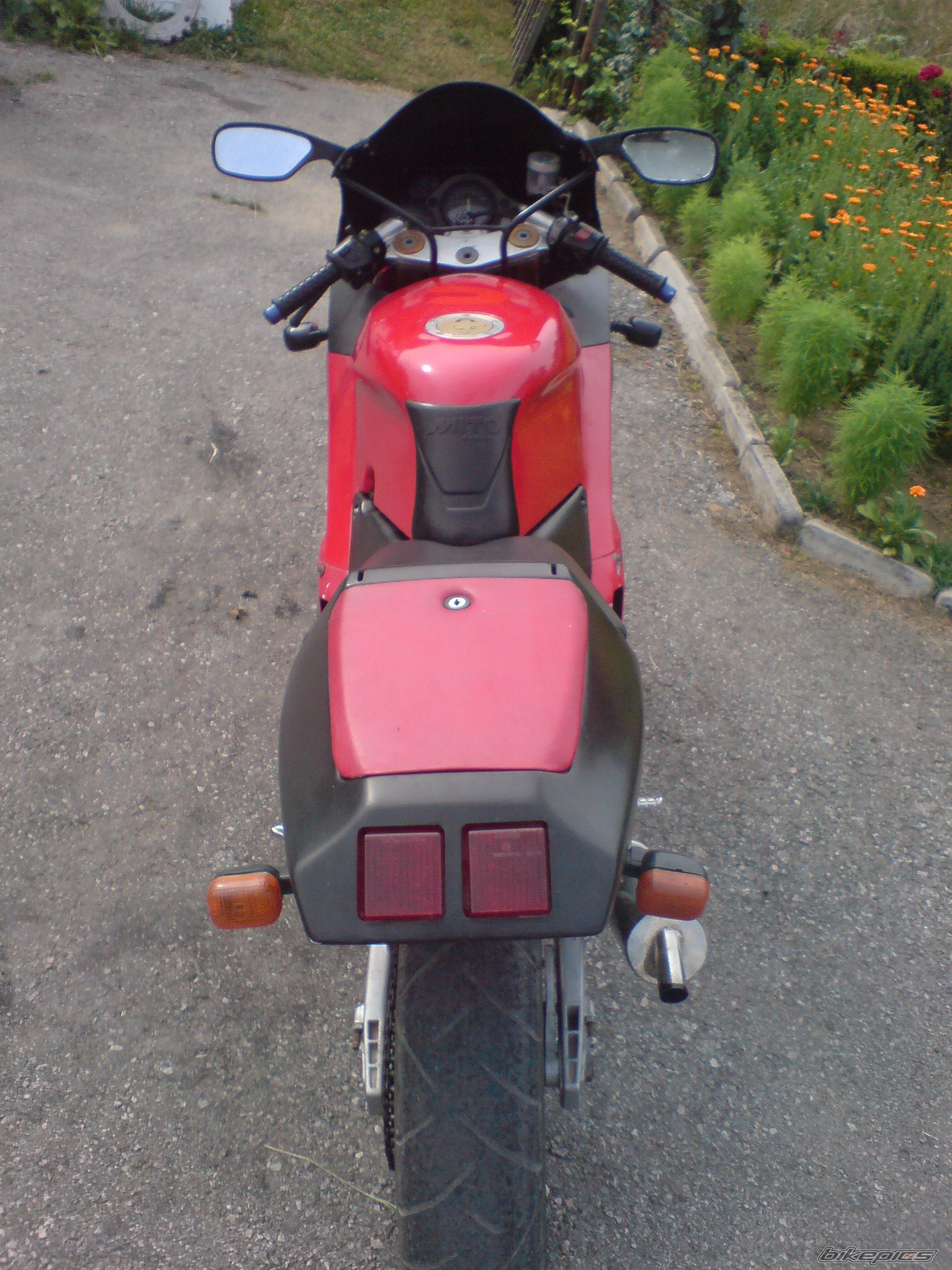 Photo 2024023