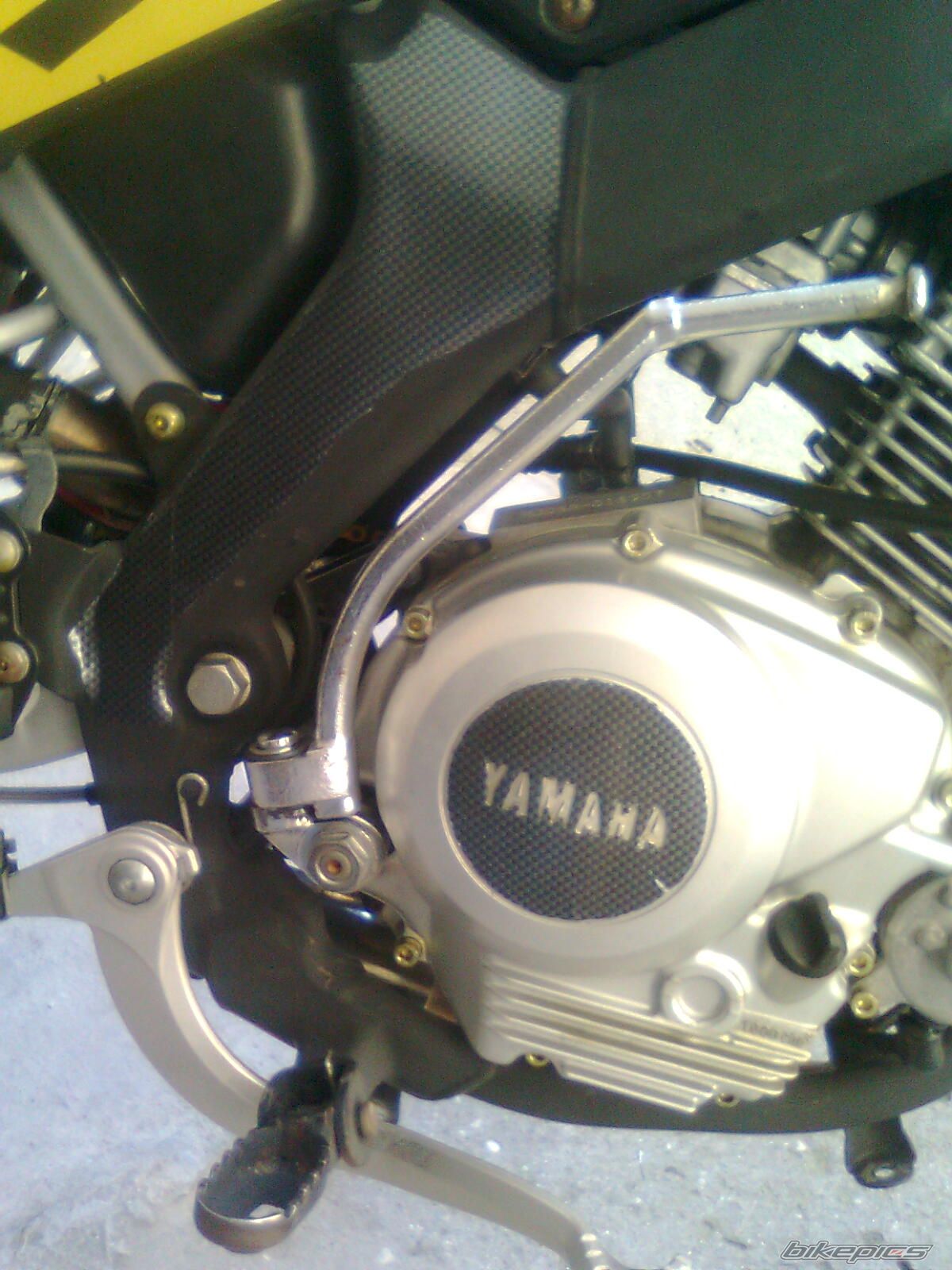 Photo 2024110