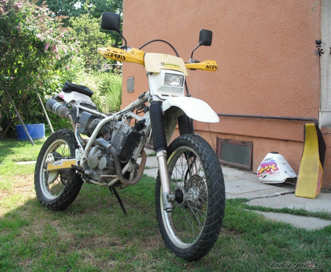 Photo 2024121