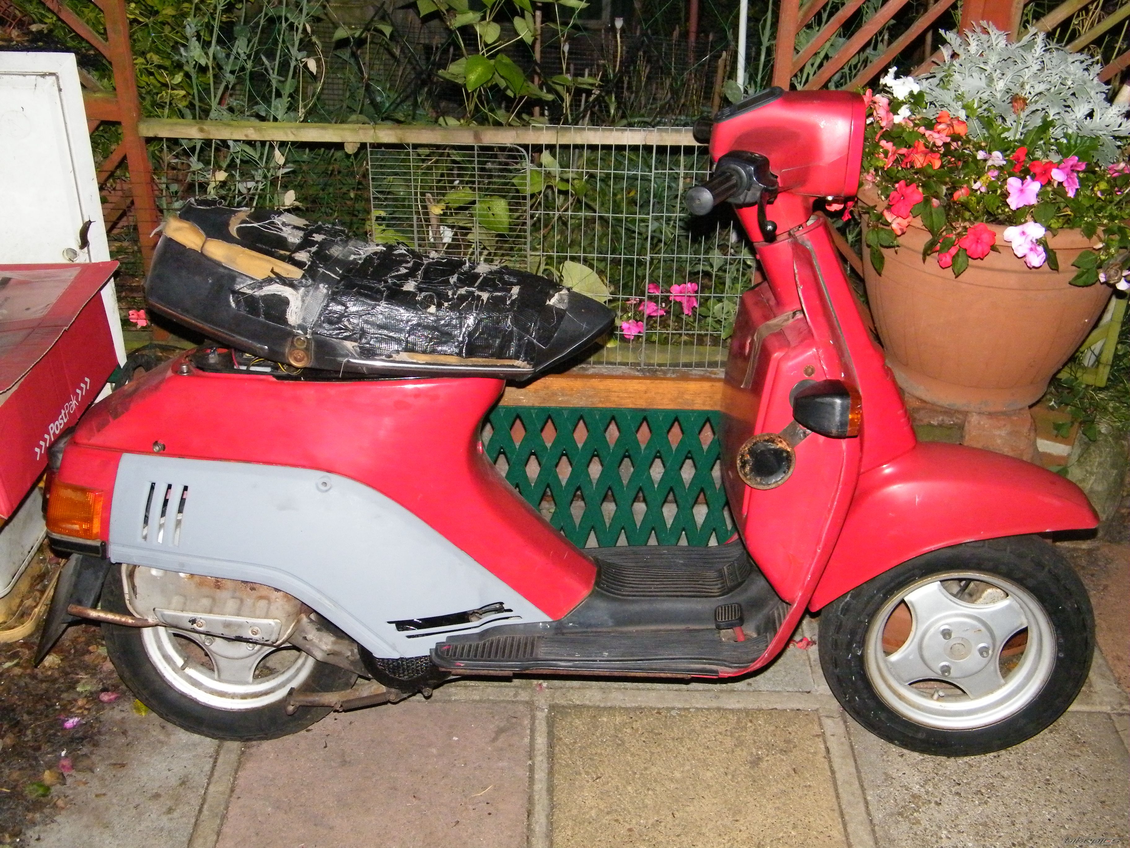Photo 2024217