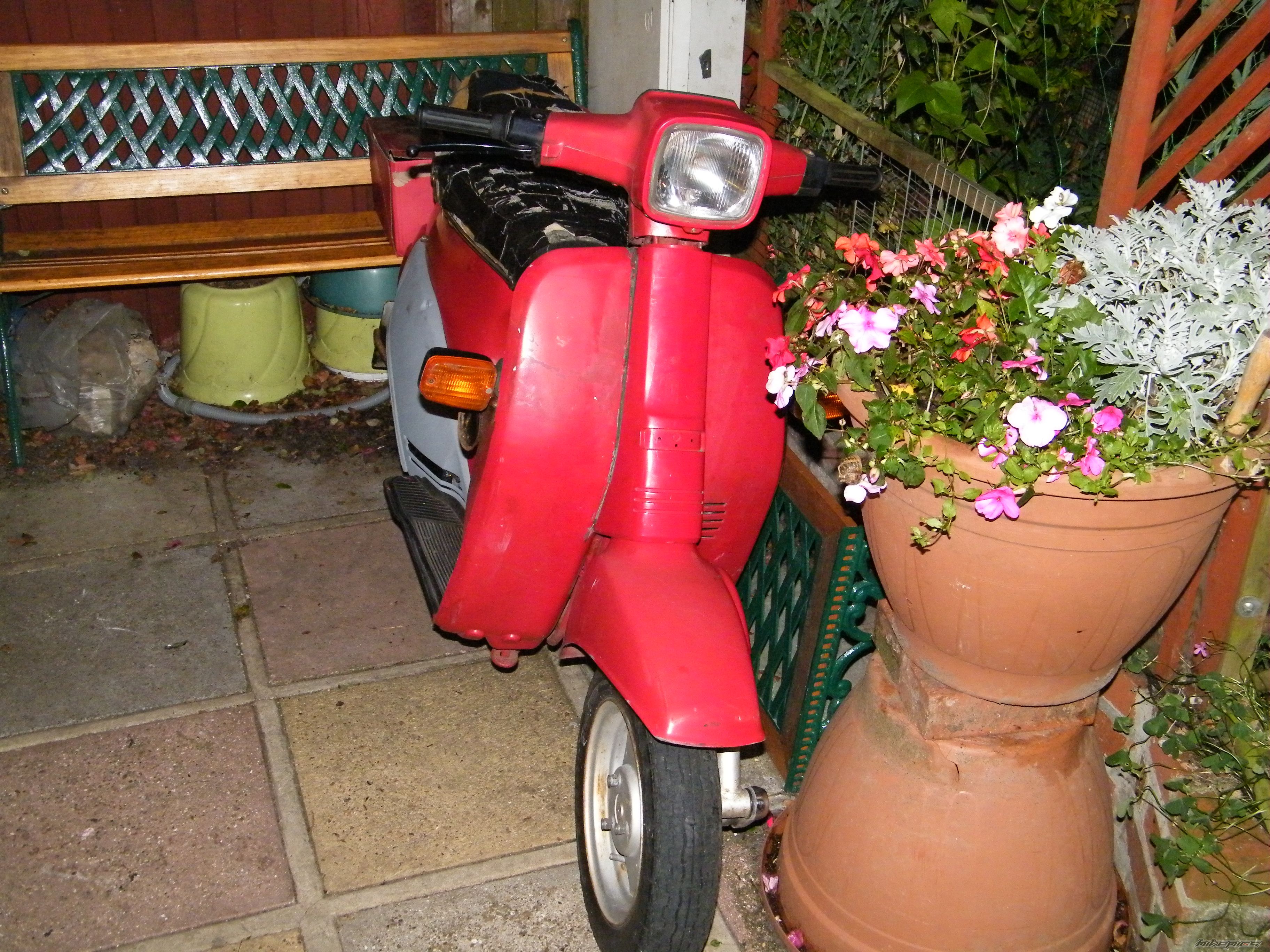 Photo 2024218