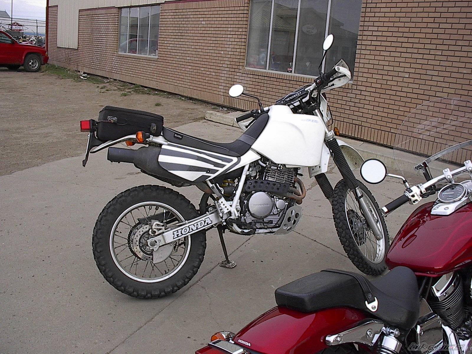 Photo 202422