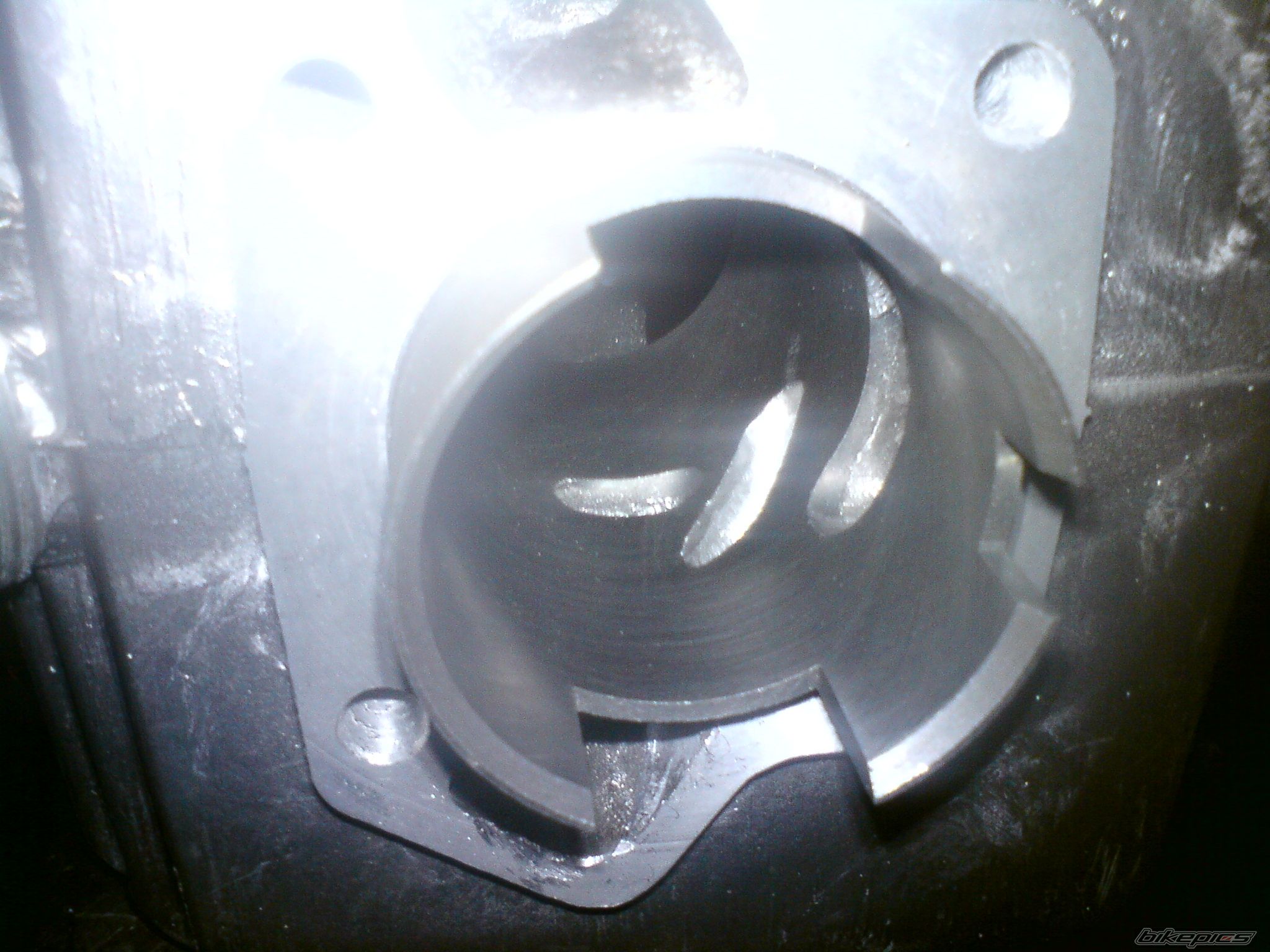 Photo 2024221