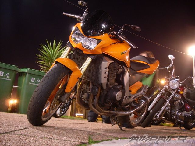 Photo 2024231