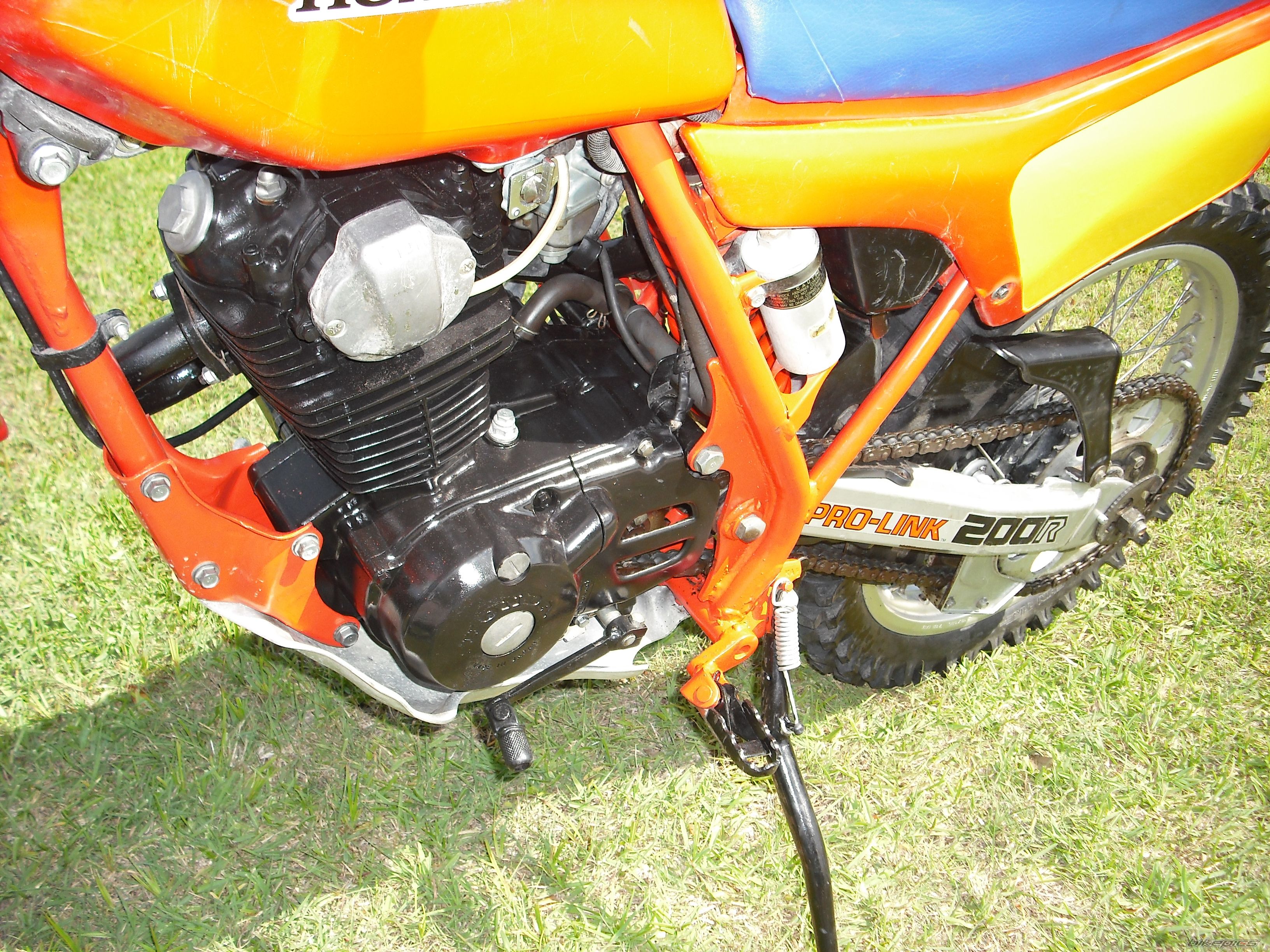 Photo 2024239