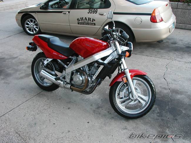 Photo 202431