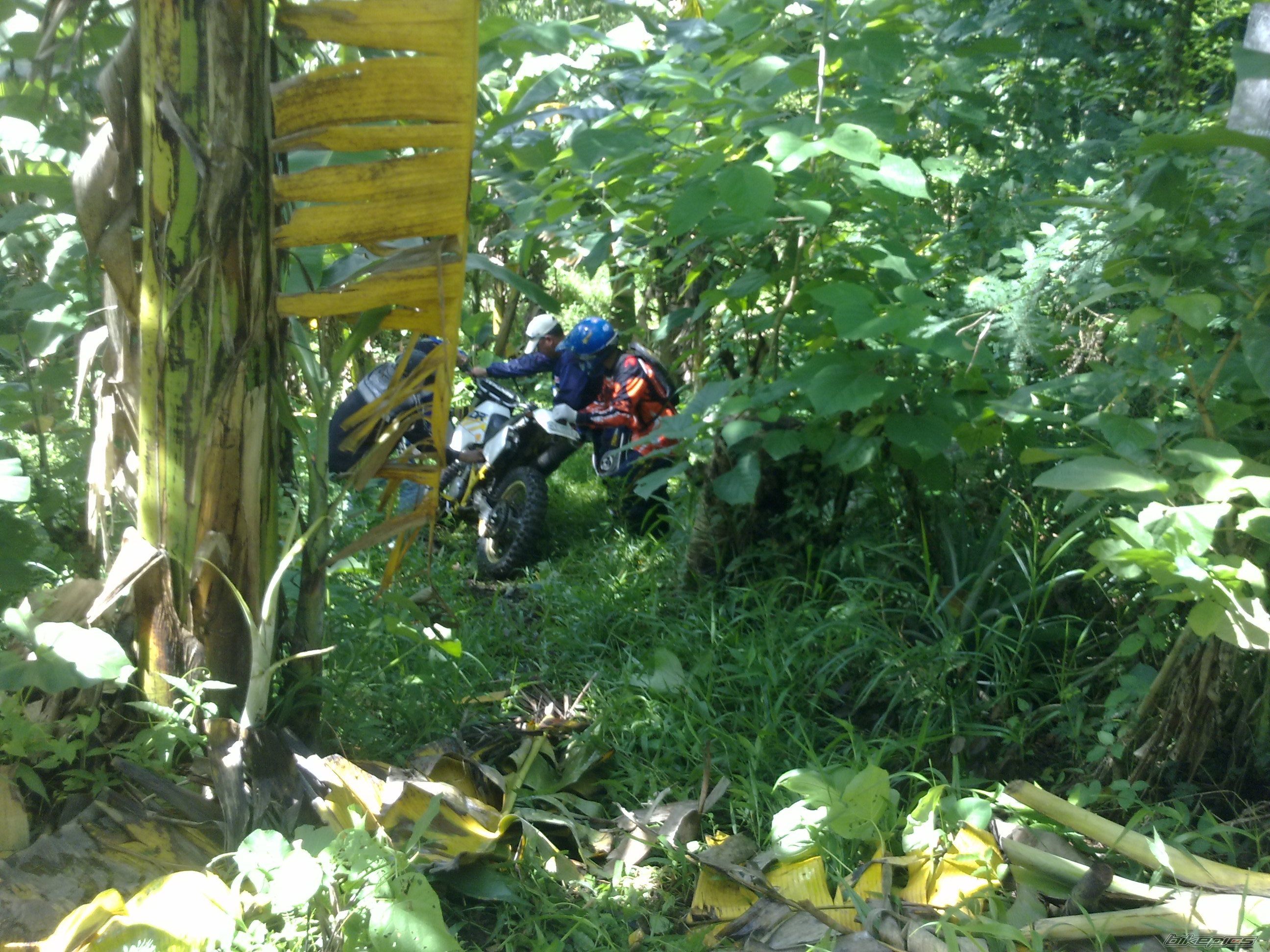 Photo 2024349