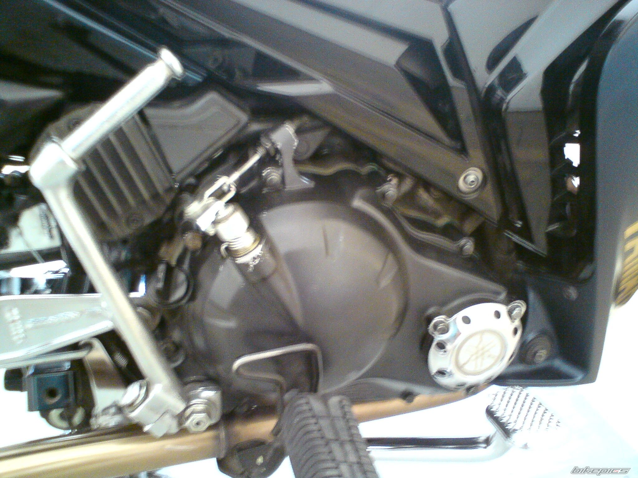 Bike Photo 2024448