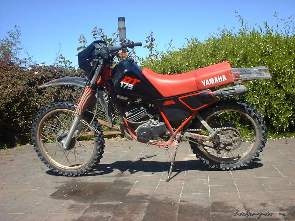 Bike Photo 202445
