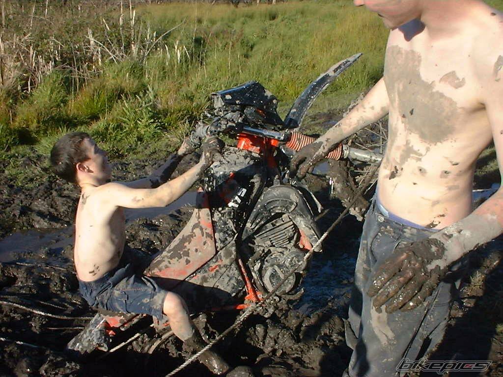 Bike Photo 202446