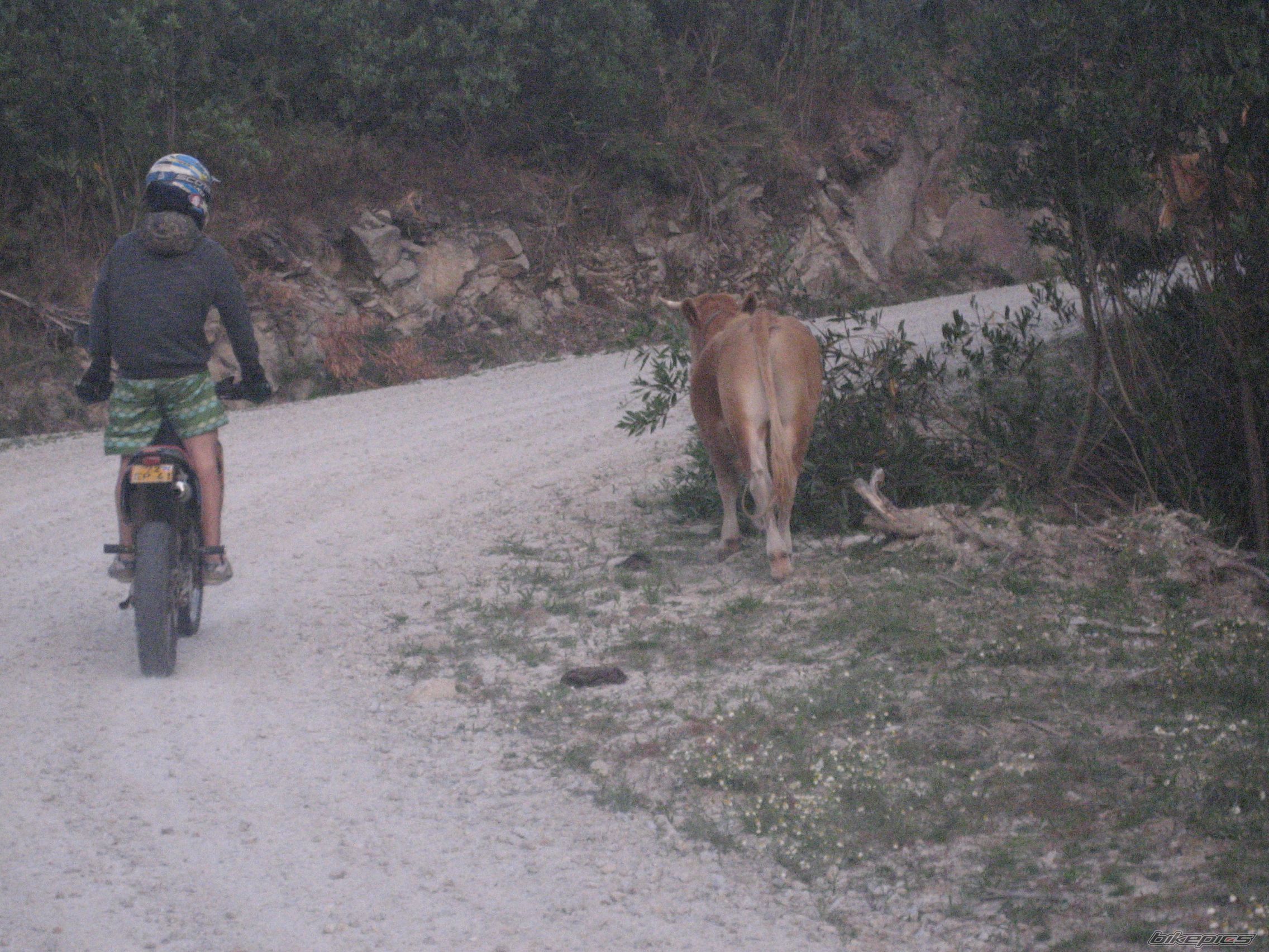 Photo 2024460