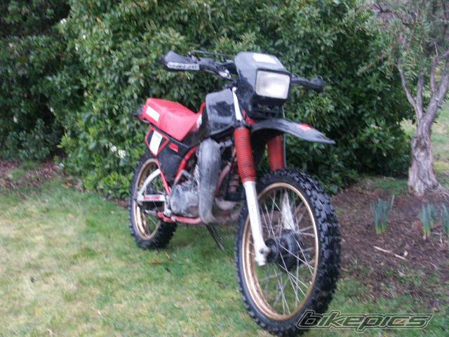 Bike Photo 202449
