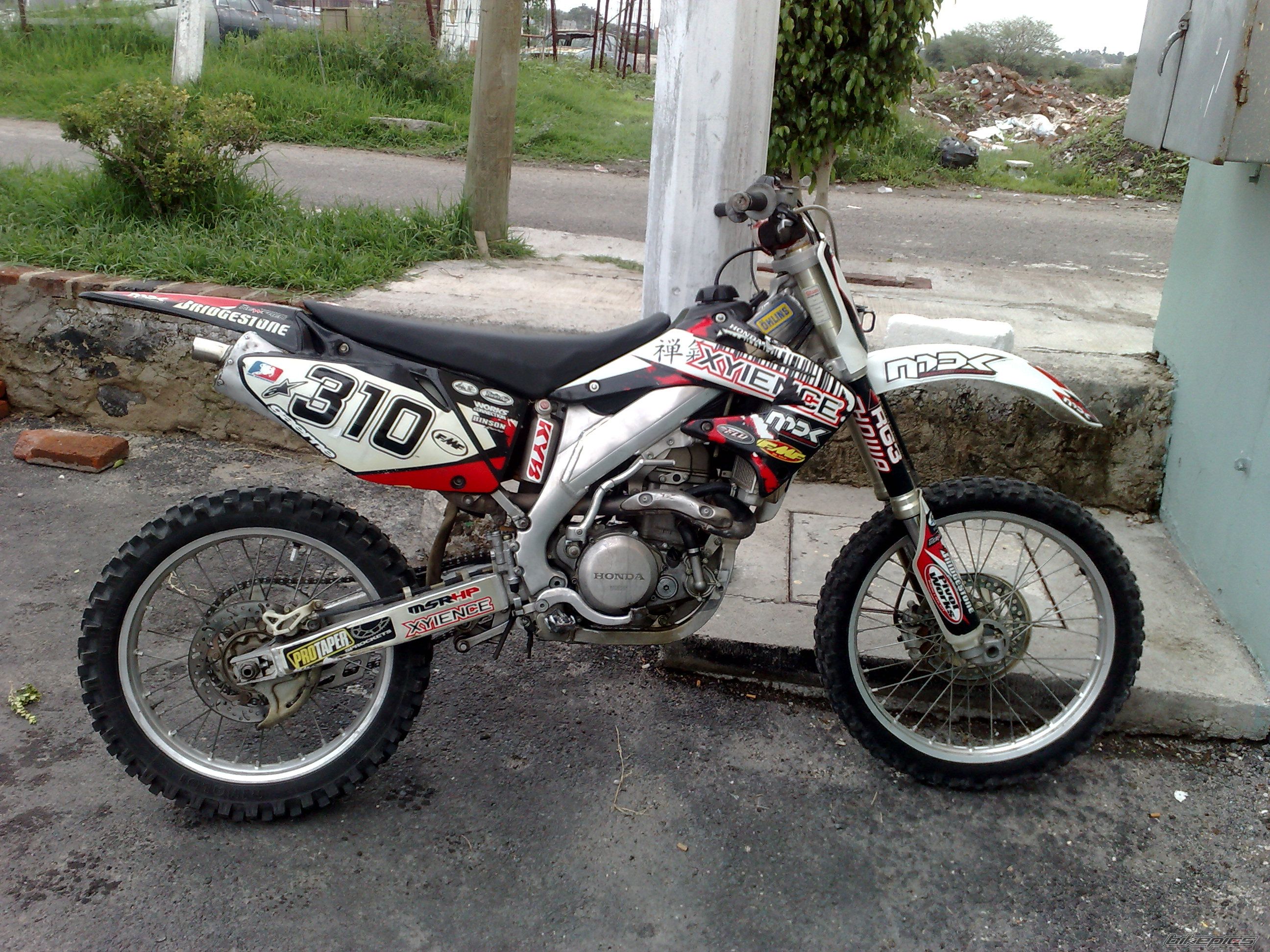 Photo 2024529