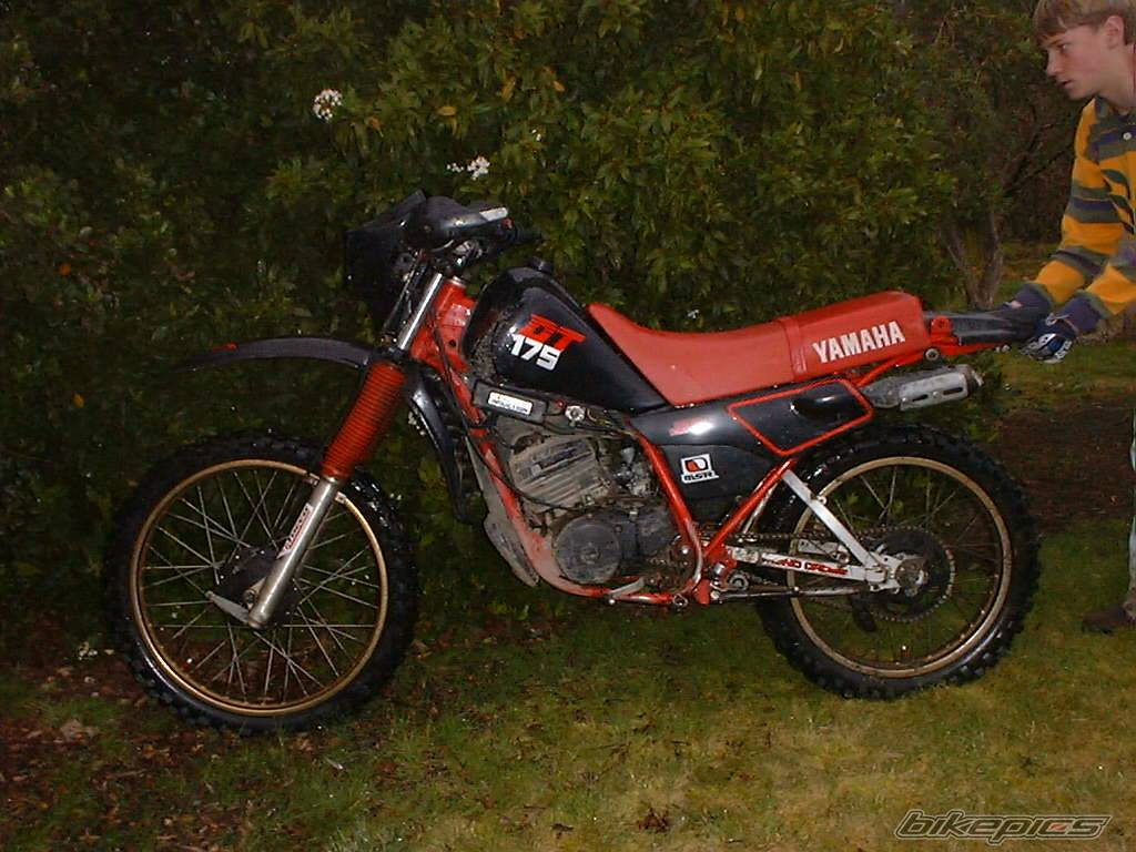 Bike Photo 202454