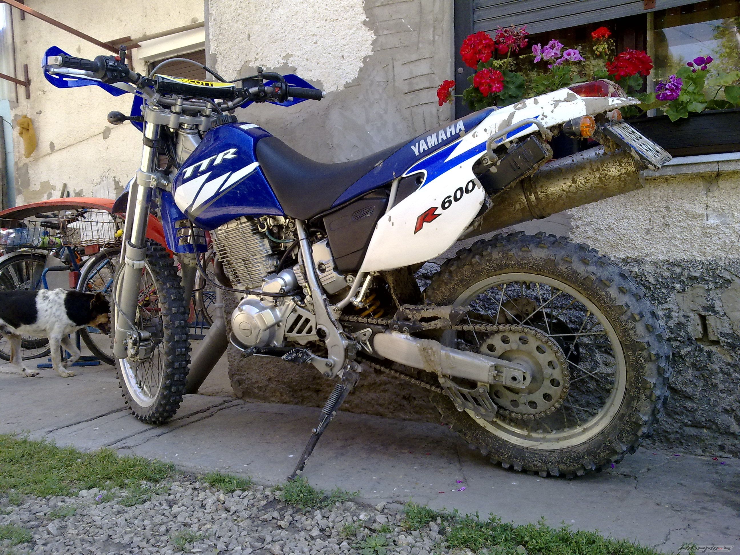 Bike Photo 2024583