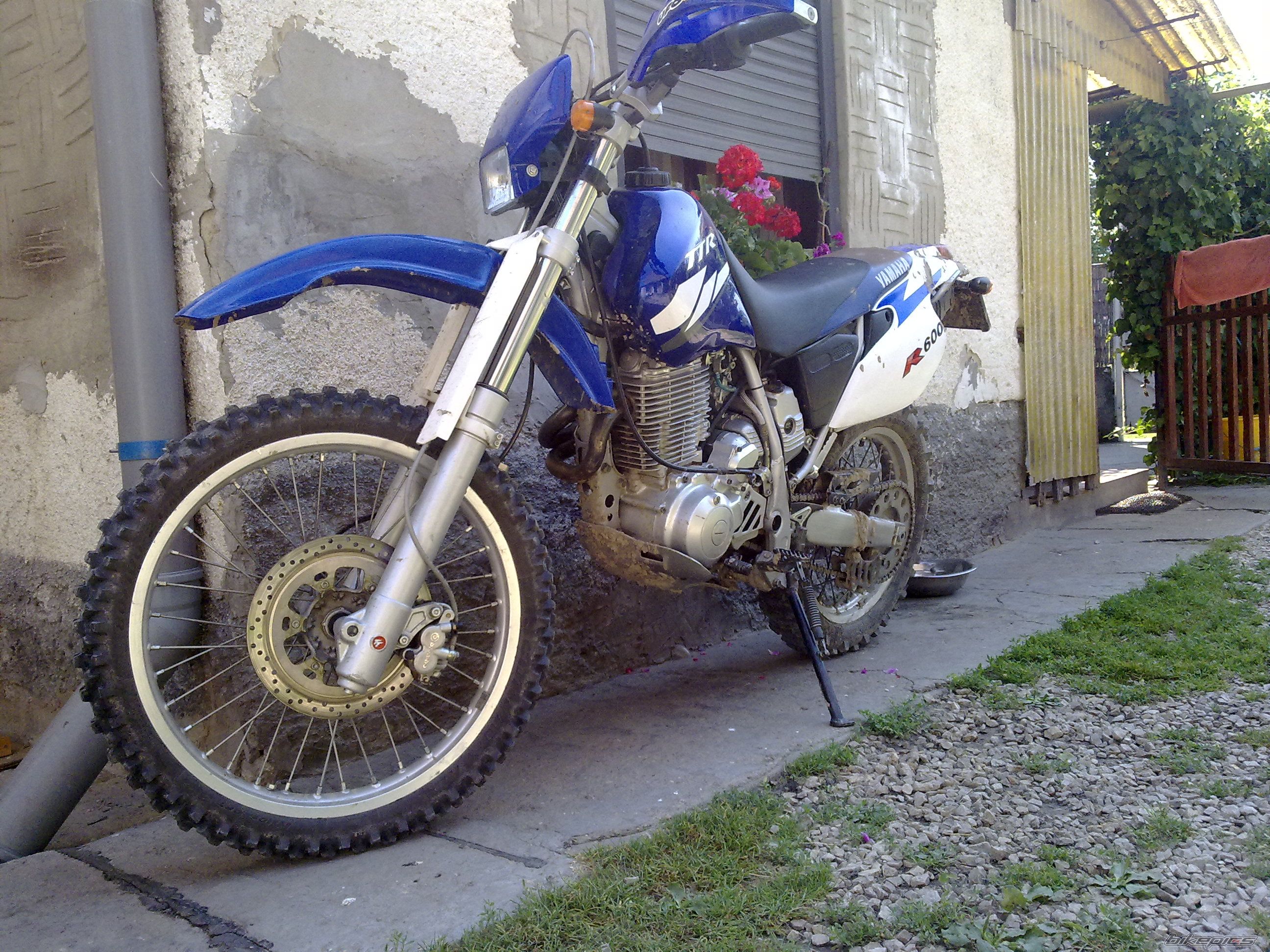 Photo 2024587