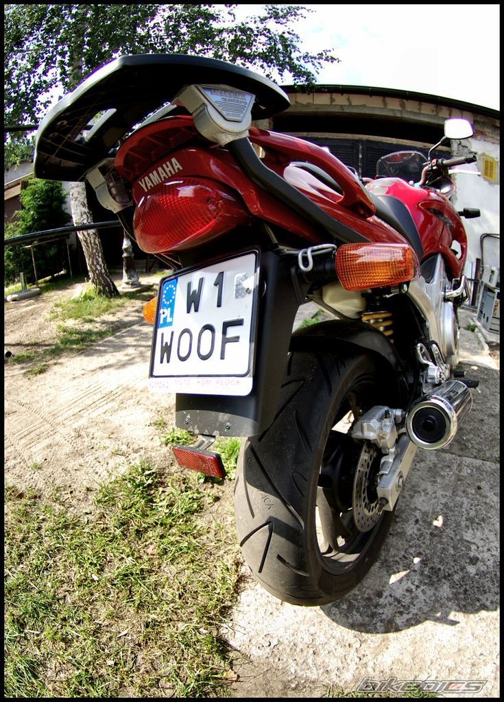 Photo 2024684