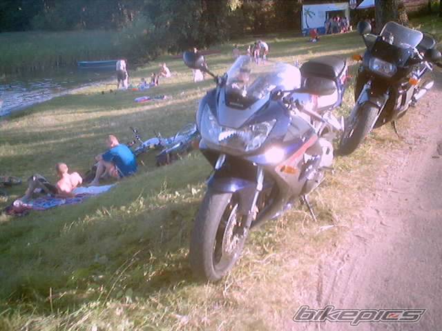 Photo 202475
