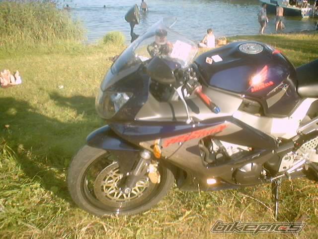 Photo 202476