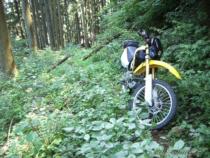 Photo 2024760