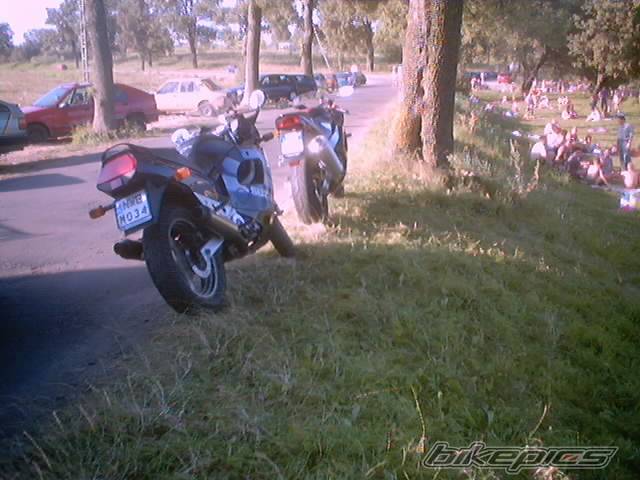 Photo 202477