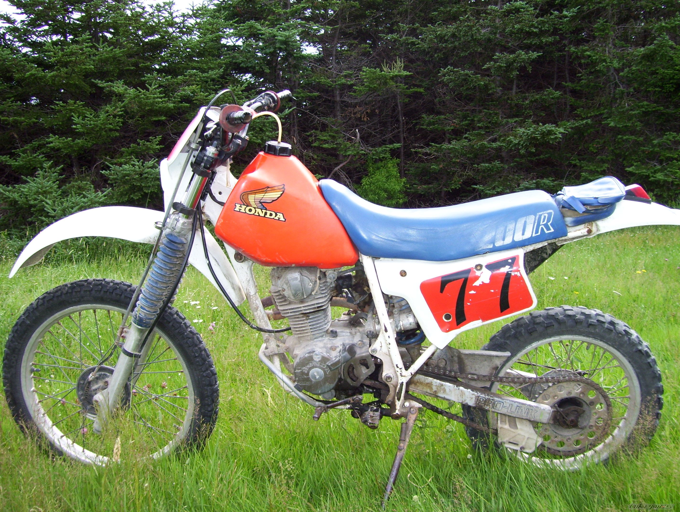 Photo 2024774