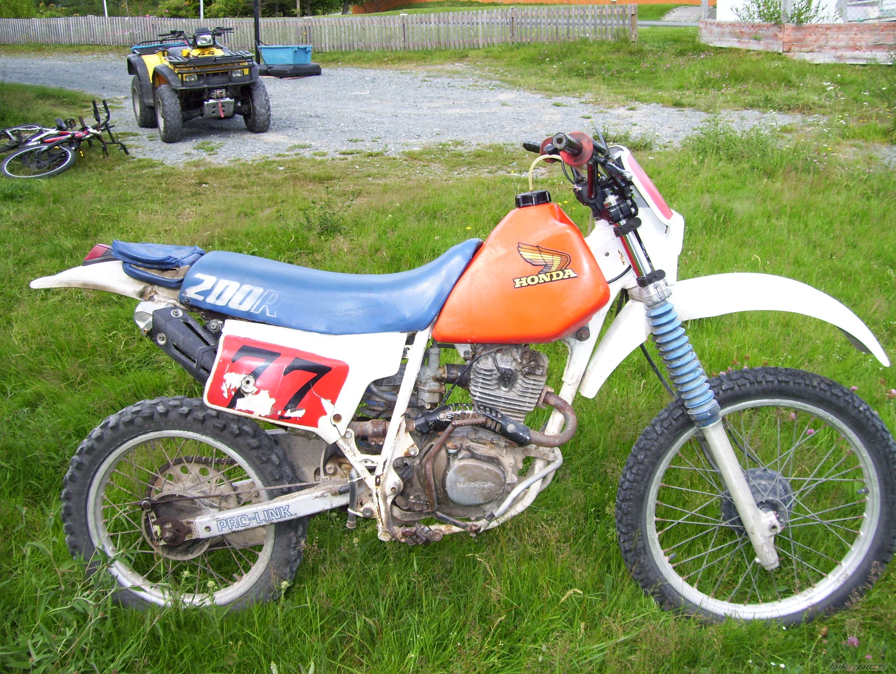 Photo 2024775