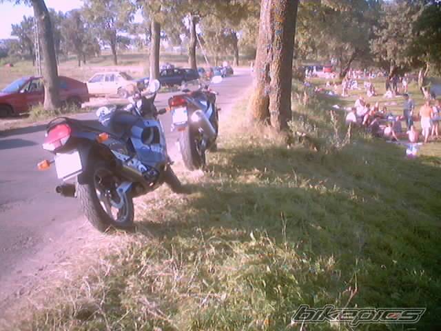 Photo 202478