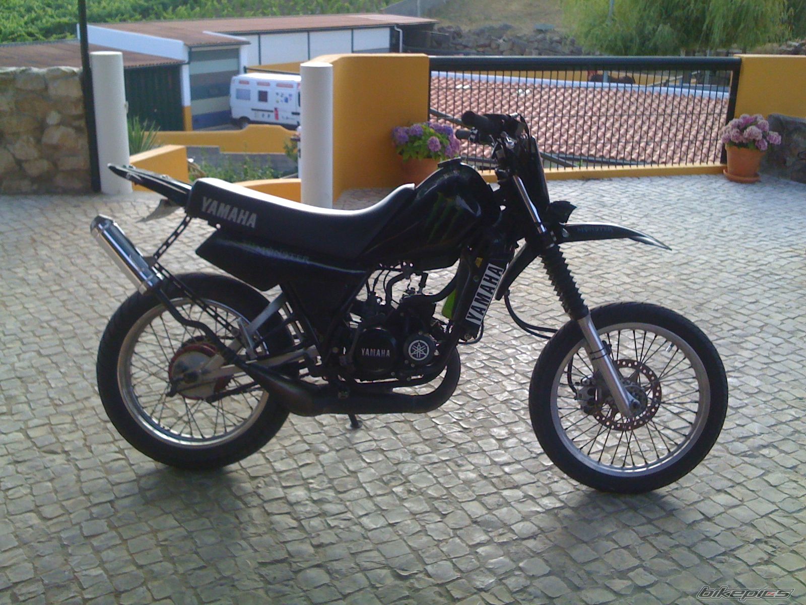Photo 2024788