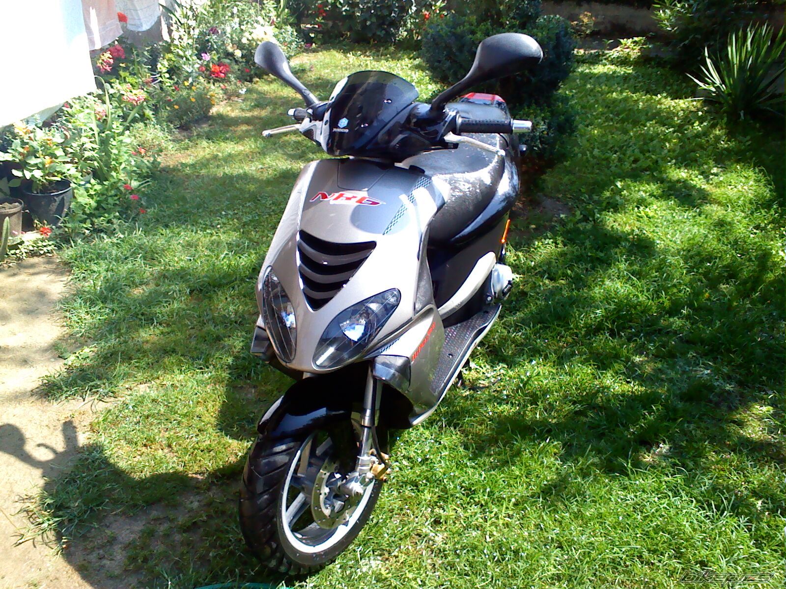 Photo 2024795