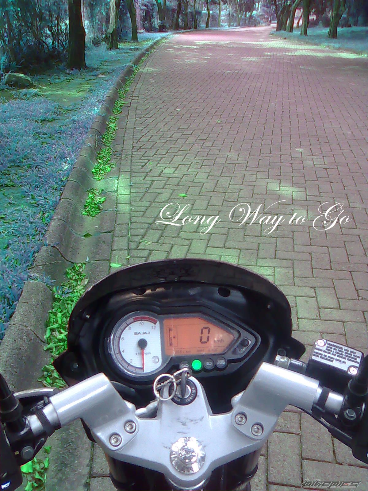 Bike Photo 2024814