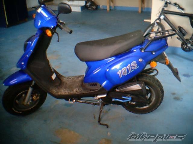 Photo 202499