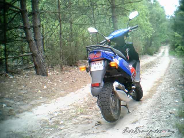 Photo 202500