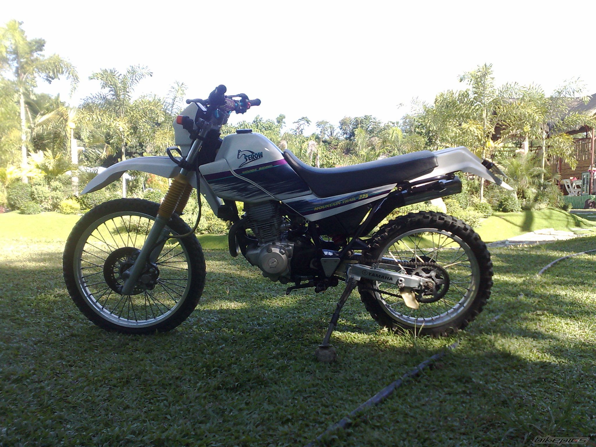 Photo 2025084