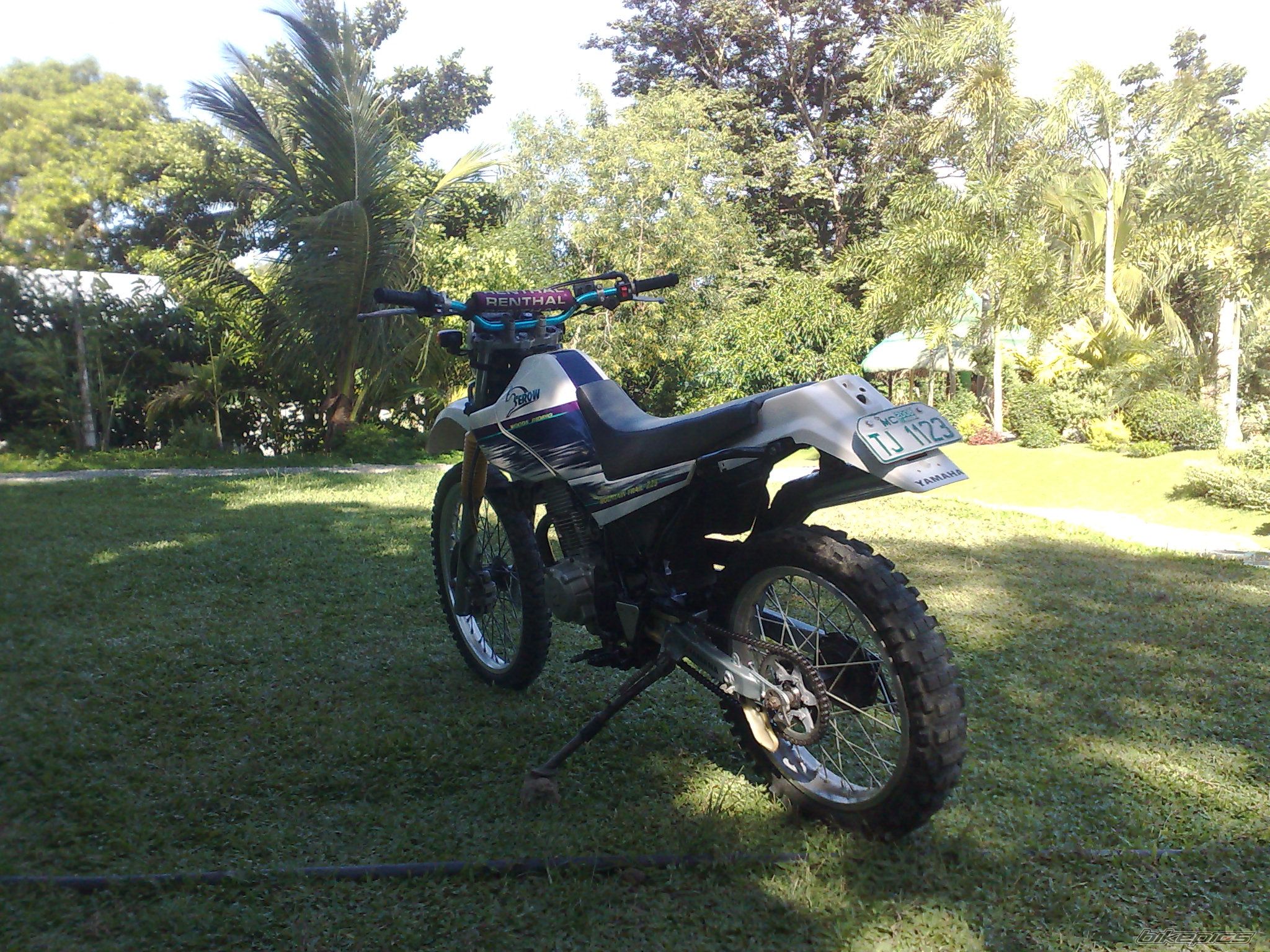 Photo 2025088