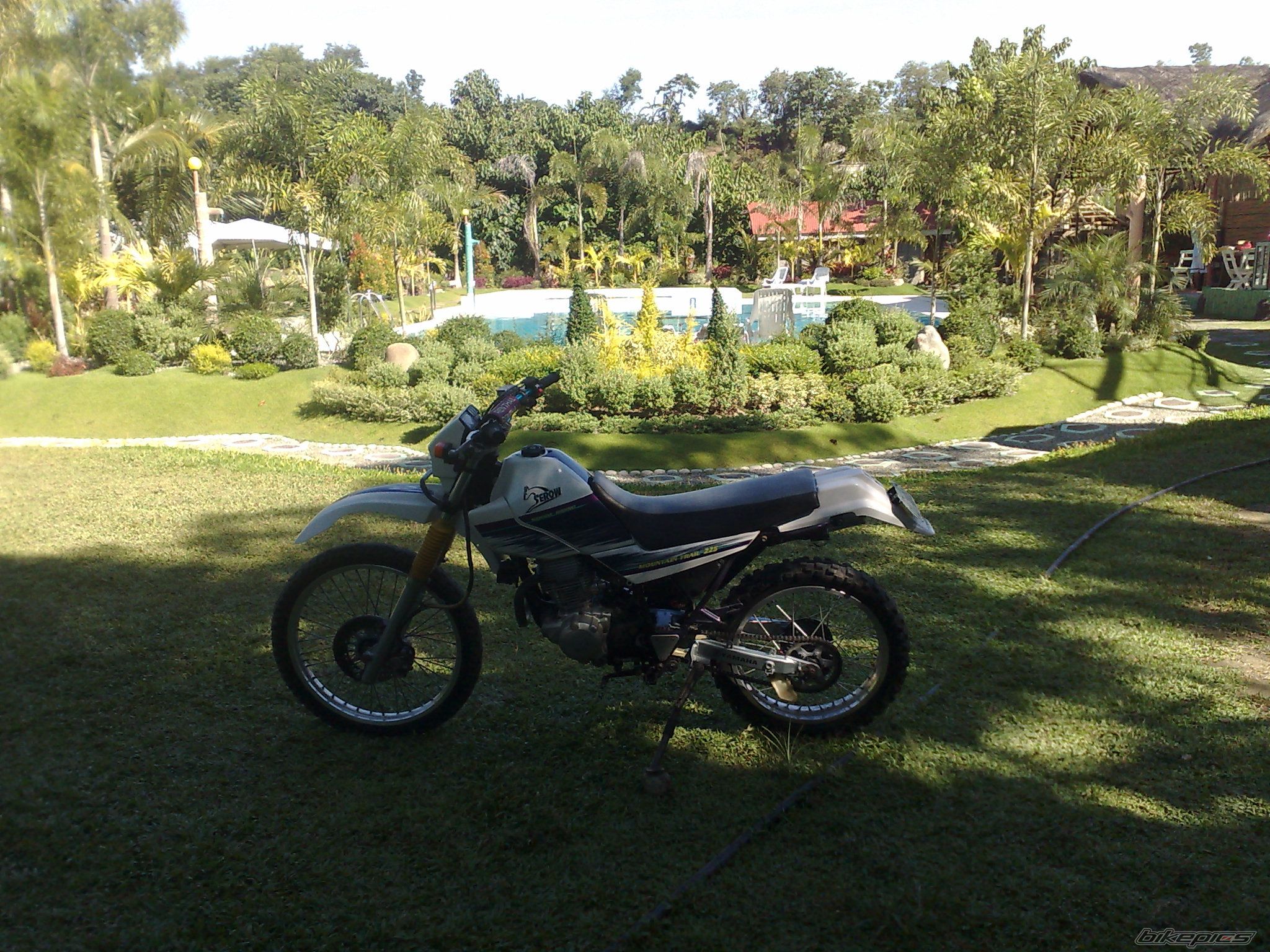Photo 2025089