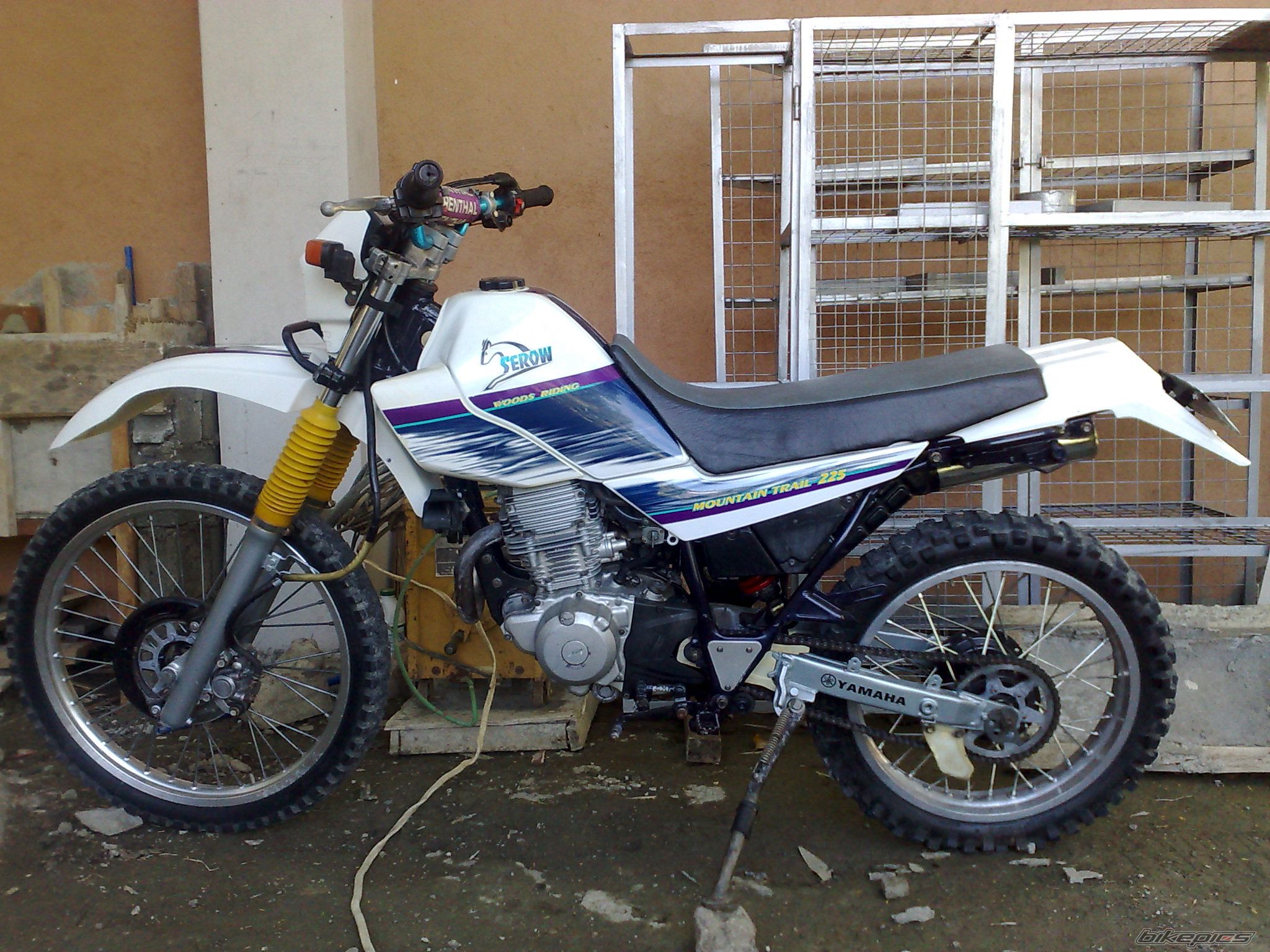Photo 2025099