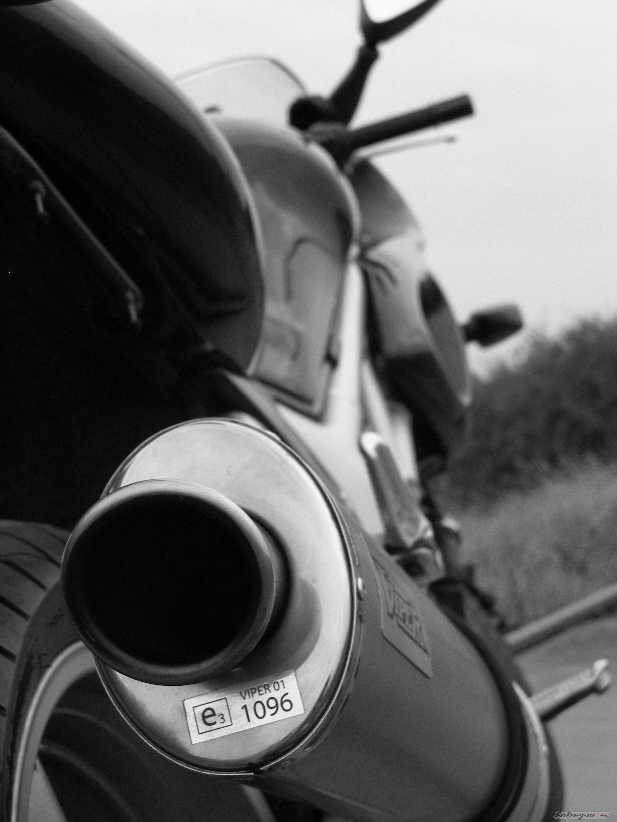 Photo 2025161