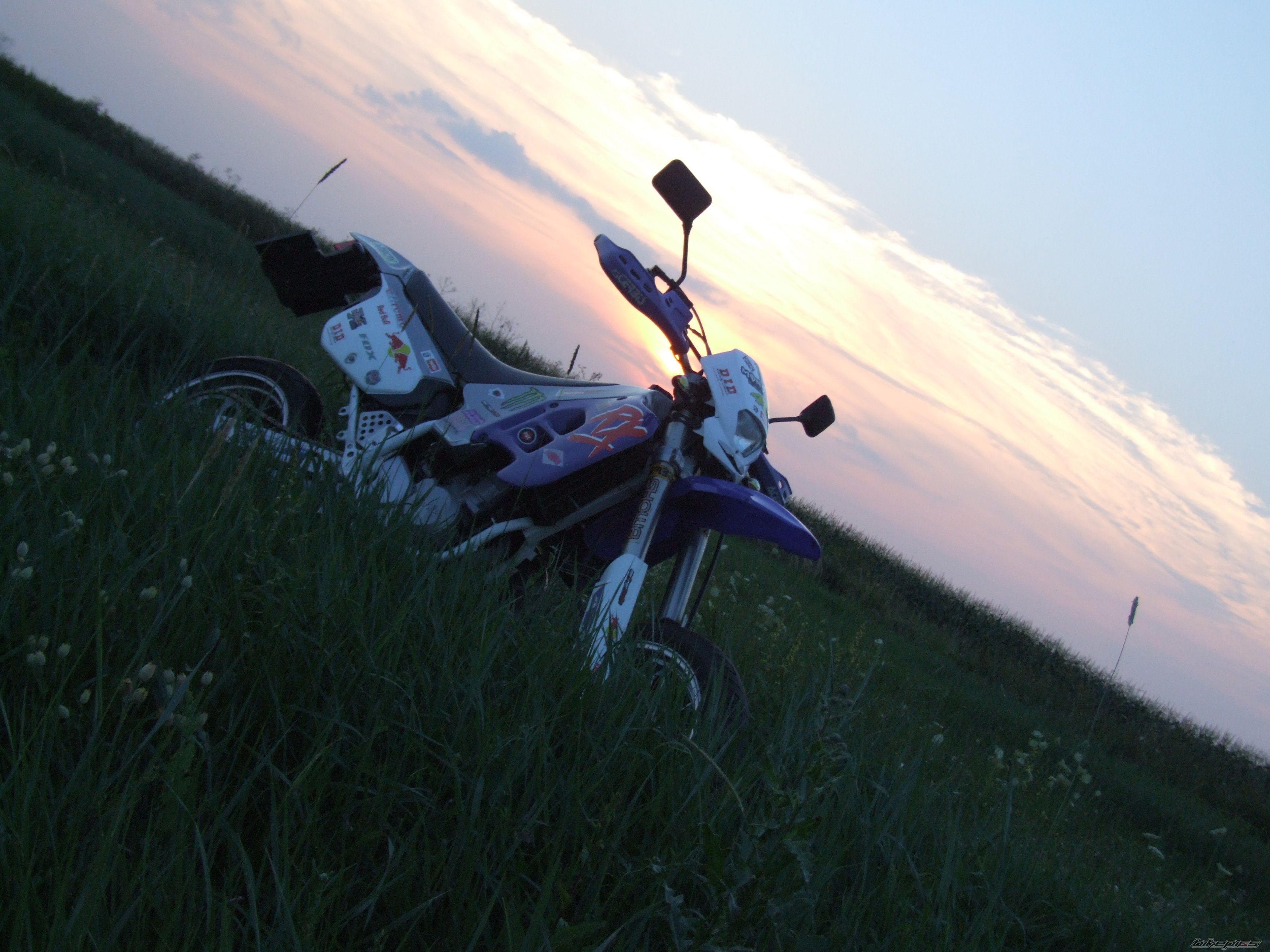 Photo 2025185