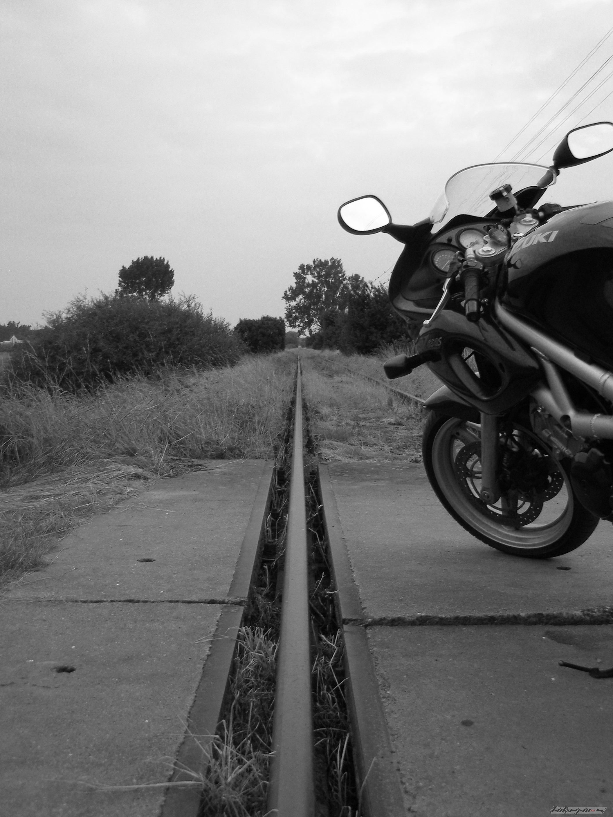 Photo 2025208