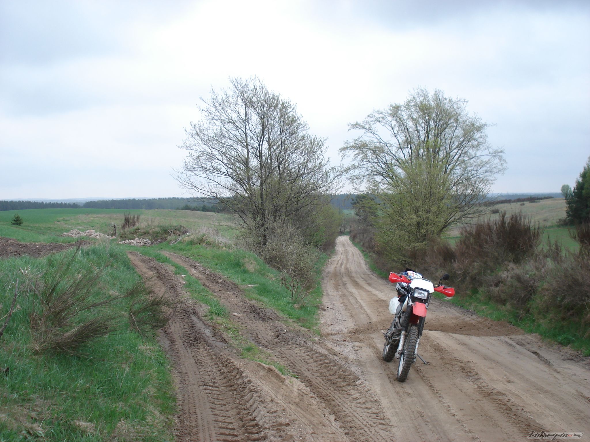 Photo 2025210