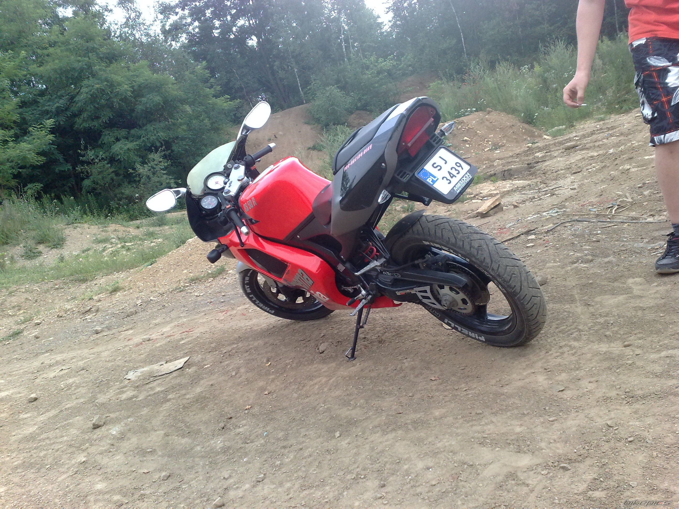 Photo 2025369