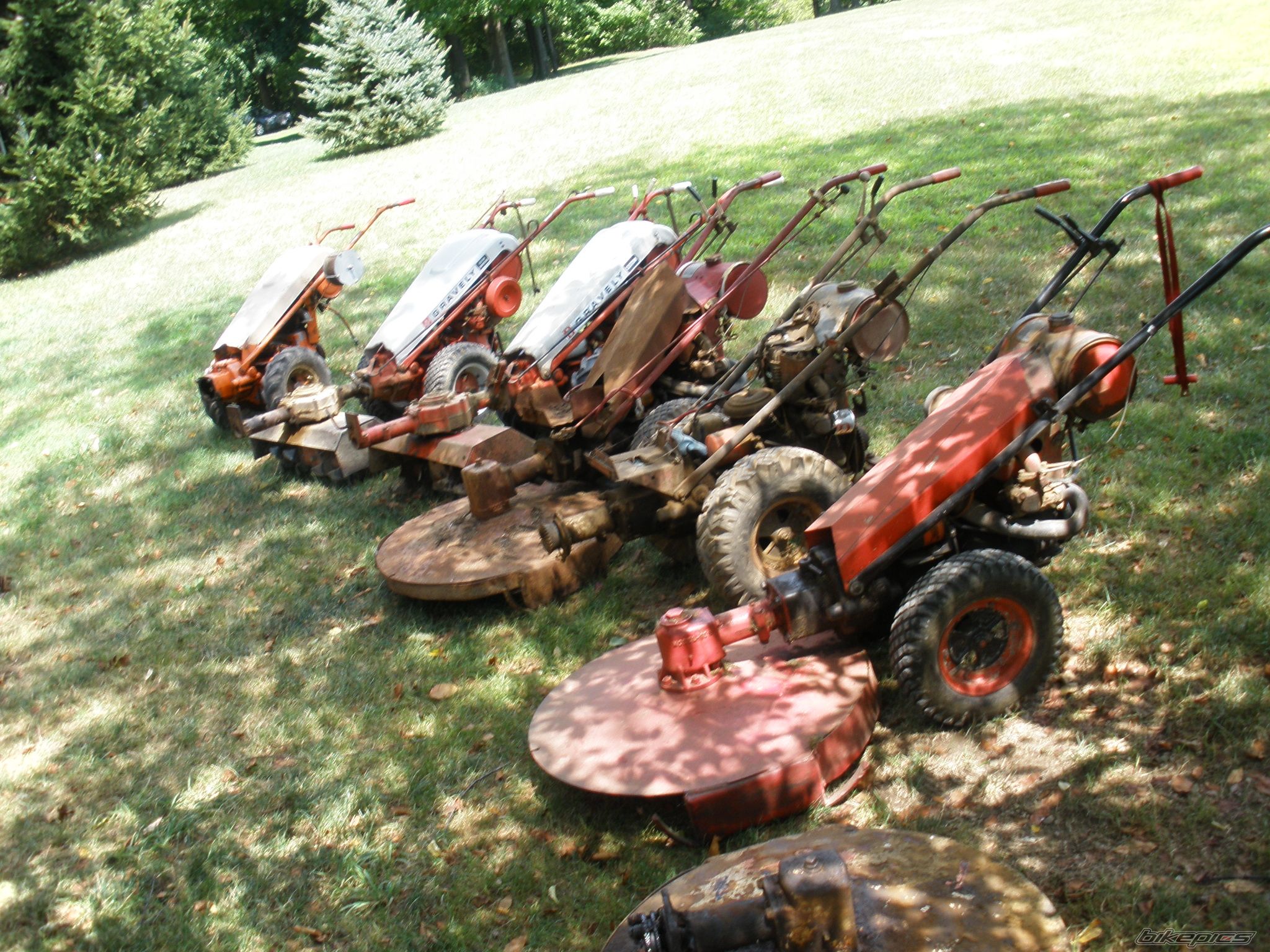 Photo 2025373